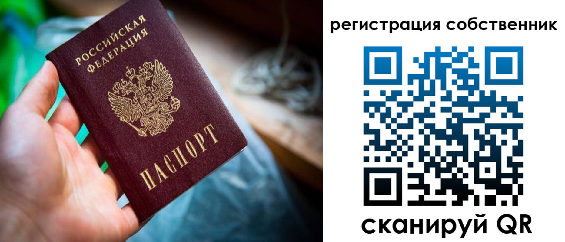 прописка гарантия в Осе